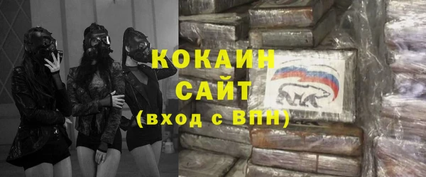 соль ск Козловка