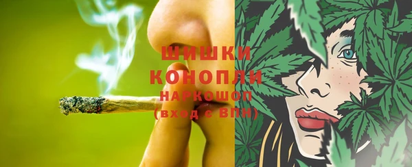 соль ск Козловка