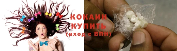 гашик Козельск