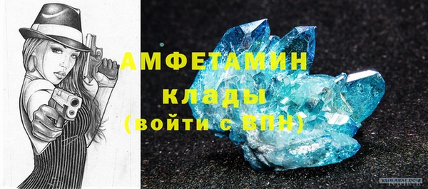 гашик Козельск