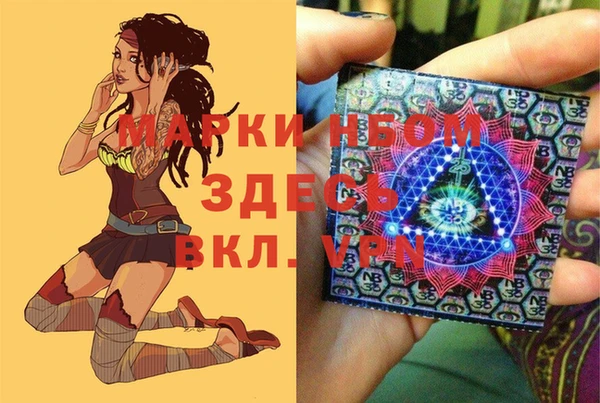 соль ск Козловка