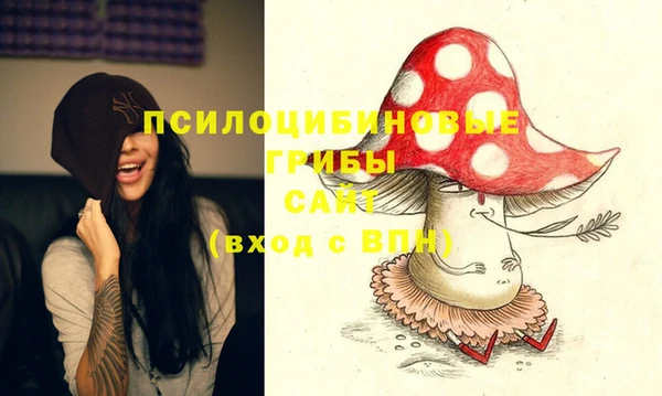 гашик Козельск