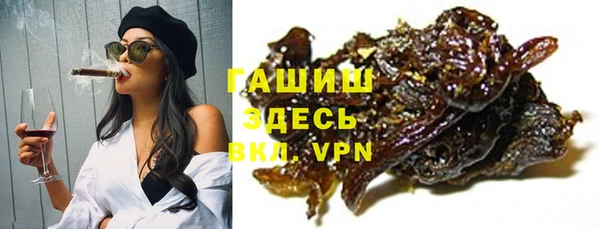 гашик Козельск