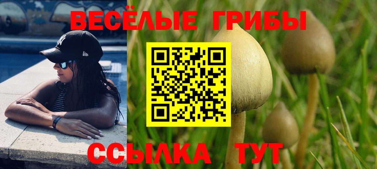 Красный Сулин  Галлюциногенные грибы мицелий  купить  сайты  Вход с VPN 